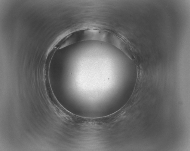 X0000078280244200611172104