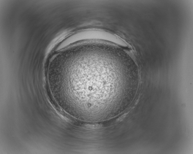 X0000078280245200611172104