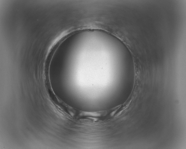 X0000078280248200611172104