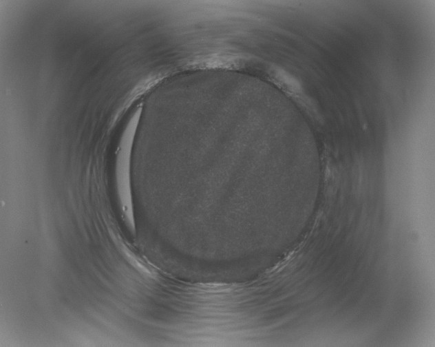 X0000078280250200611172104