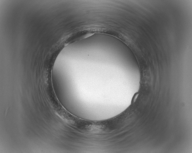 X0000078280255200611172104