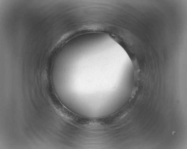 X0000078280256200611172104