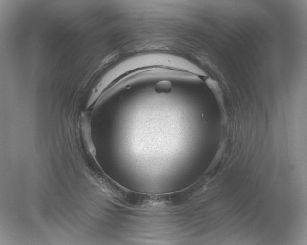 X0000078280260200611172104