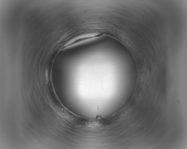 X0000078280262200611172104