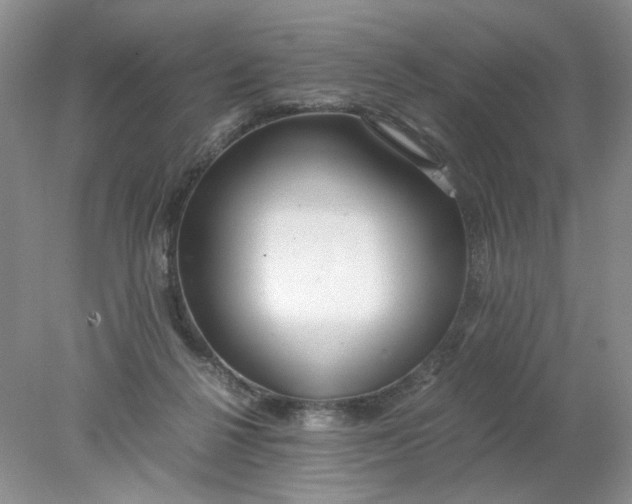 X0000078280264200611172104