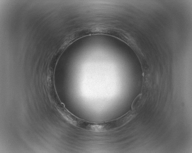 X0000078280265200611172104