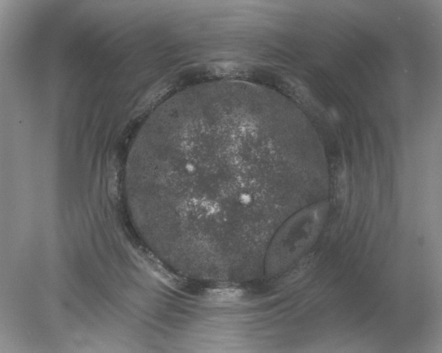 X0000078280266200611172104