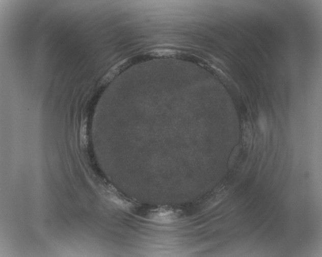 X0000078280267200611172104