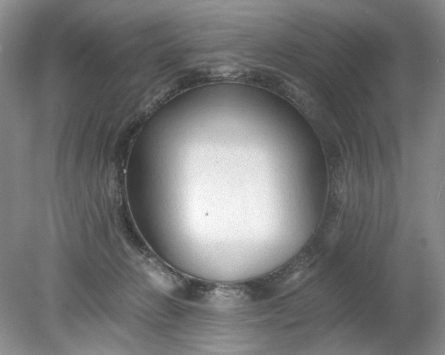 X0000078280270200611172104