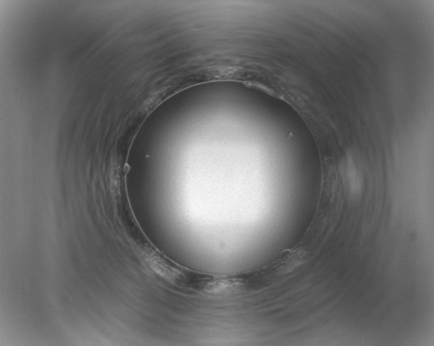 X0000078280274200611172104