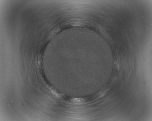 X0000078280277200611172104