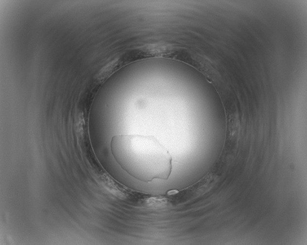 X0000078280279200611172104