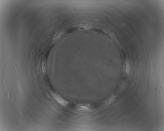 X0000078280285200611172104