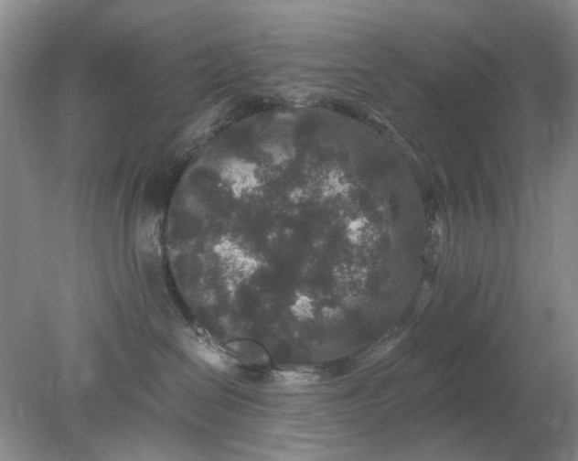 X0000078280286200611172104