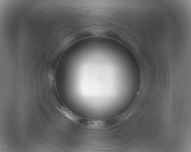 X0000078280288200611172104