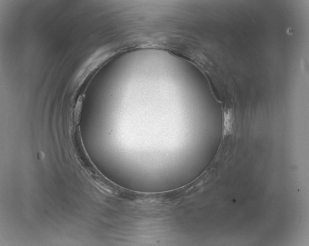 X0000078280291200611172103