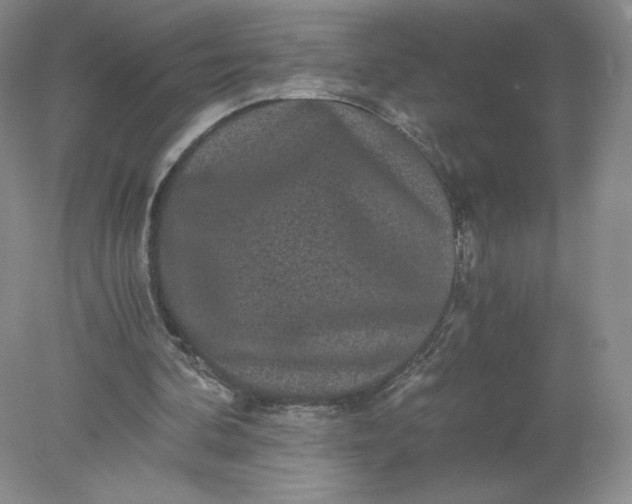 X0000078280292200611172103