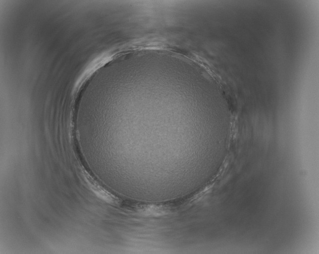 X0000078280293200611172103