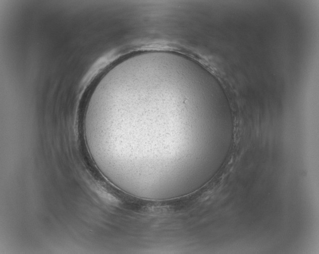 X0000078280296200611172103