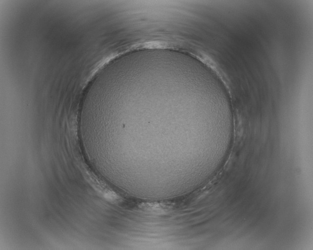 X0000078280297200611172103