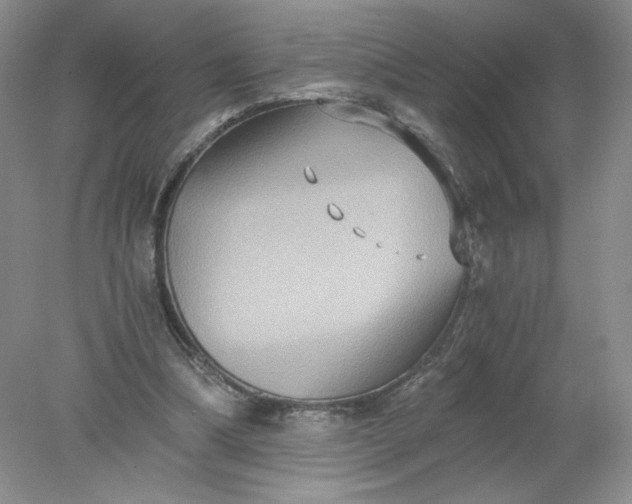 X0000078280298200611172103