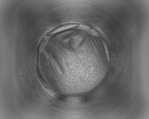 X0000078280299200611172103