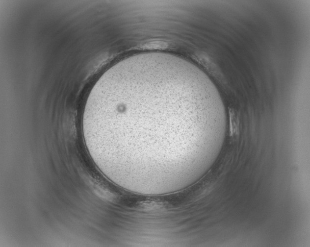 X0000078280300200611172103