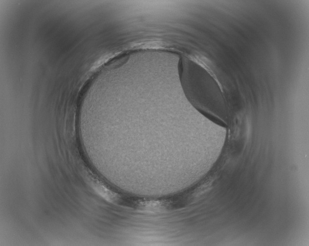 X0000078280301200611172103