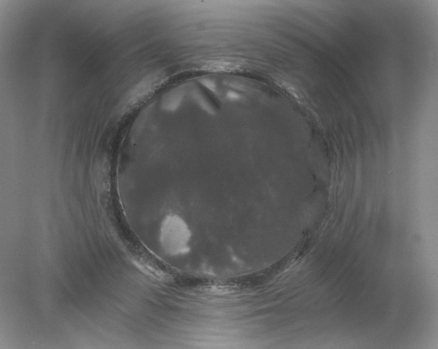 X0000078280303200611172103