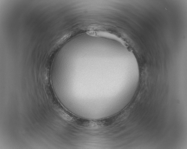 X0000078280305200611172103