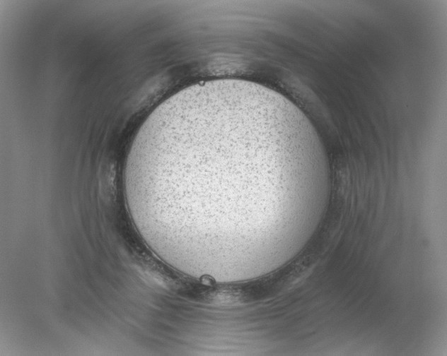 X0000078280308200611172103