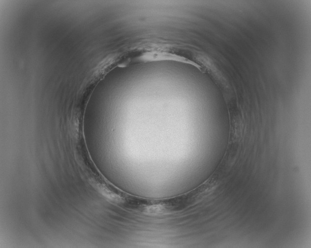 X0000078280309200611172103