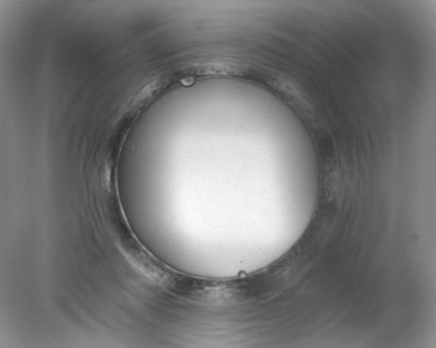 X0000078280310200611172103