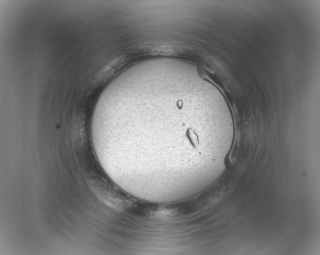 X0000078280312200611172103