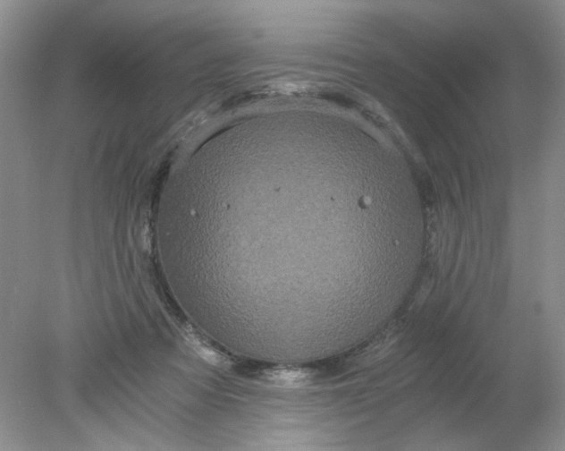 X0000078280313200611172103