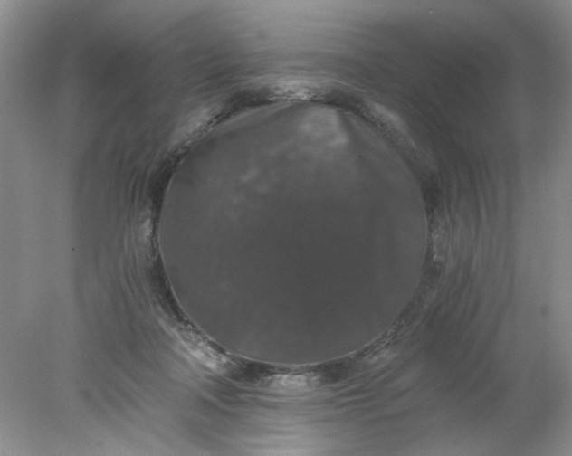 X0000078280314200611172103