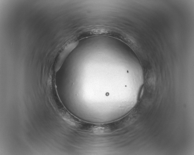 X0000078280315200611172103