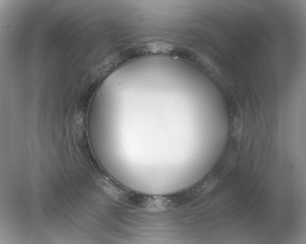 X0000078280321200611172103