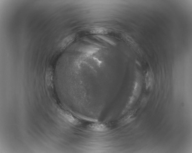 X0000078280322200611172103