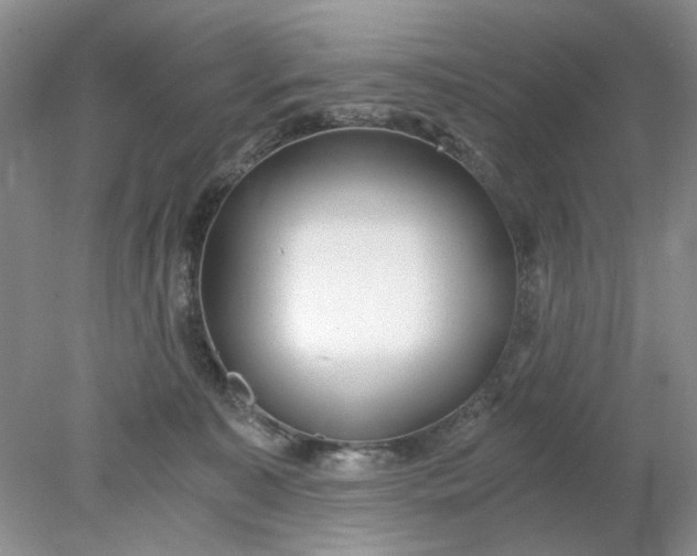 X0000078280323200611172103