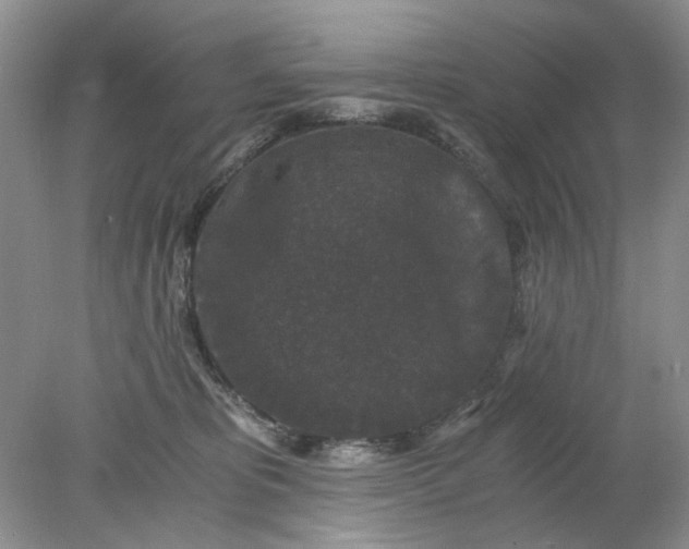 X0000078280325200611172103