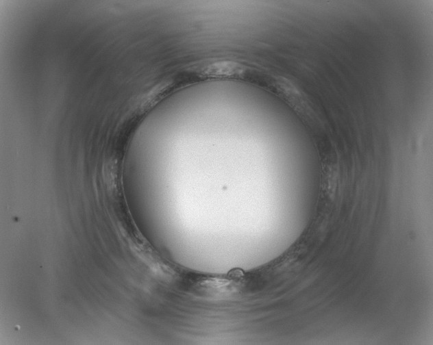 X0000078280326200611172103