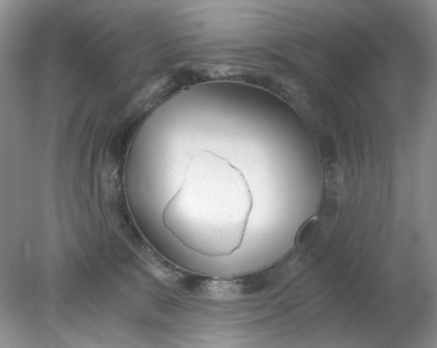 X0000078280327200611172103