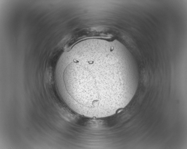 X0000078280328200611172103