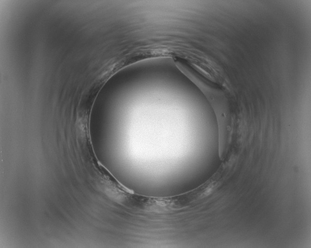 X0000078280329200611172103