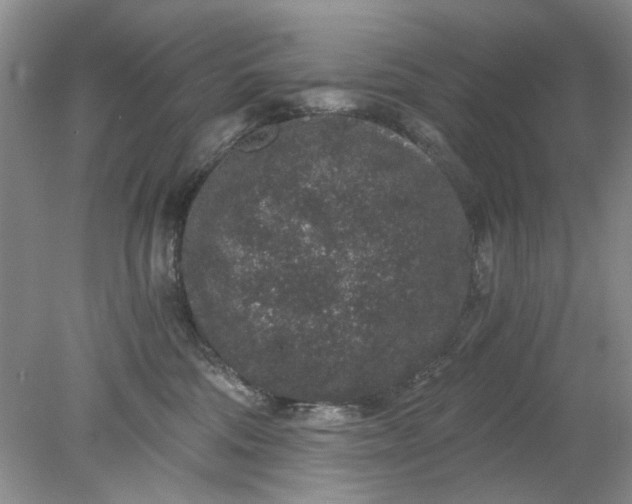 X0000078280330200611172103