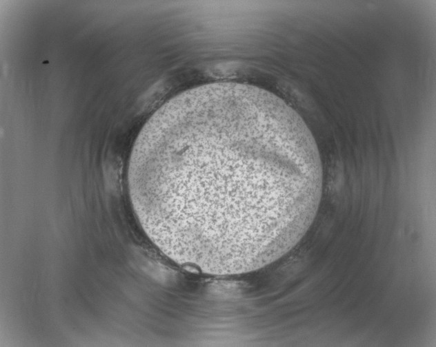 X0000078280332200611172103