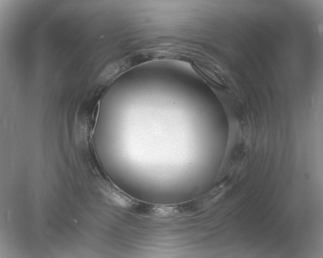 X0000078280333200611172103