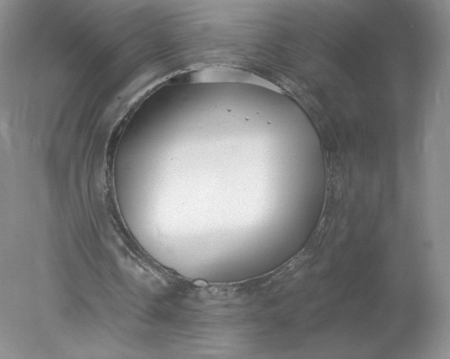 X0000078280338200611172102