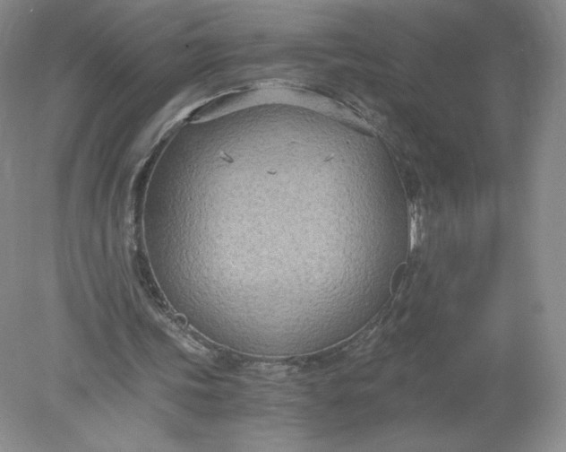 X0000078280339200611172102